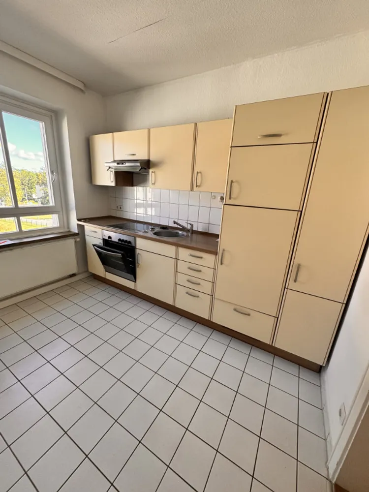 2 room apartment with 55 m² in Chemnitz – Photo 4