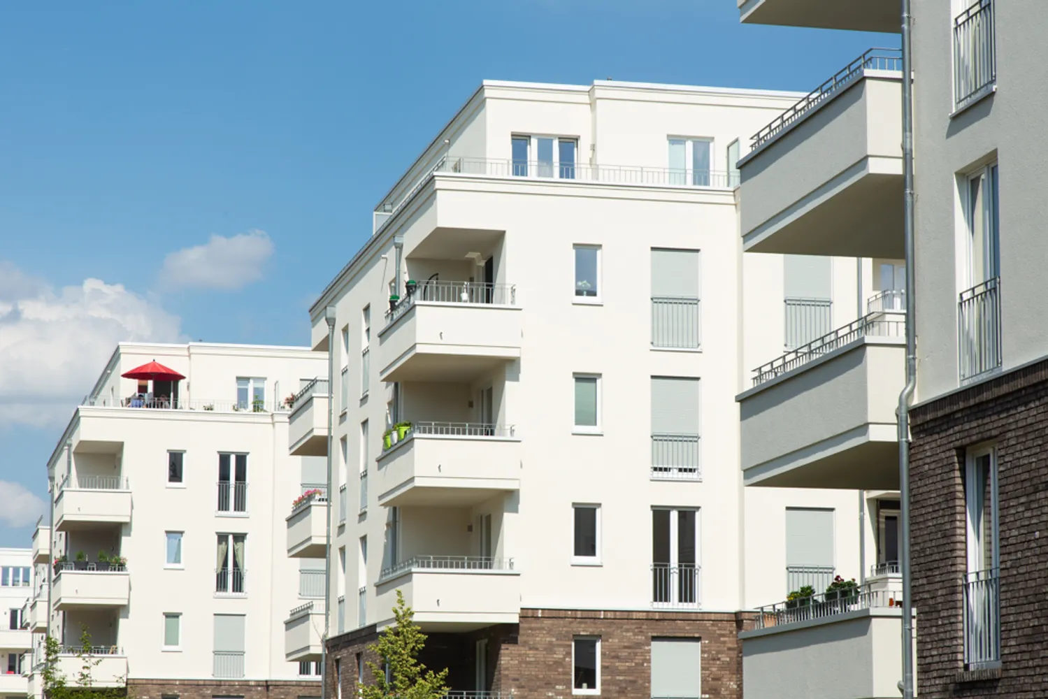 2 Zimmer Wohnung mit 77 m² in Potsdam – Bild 2