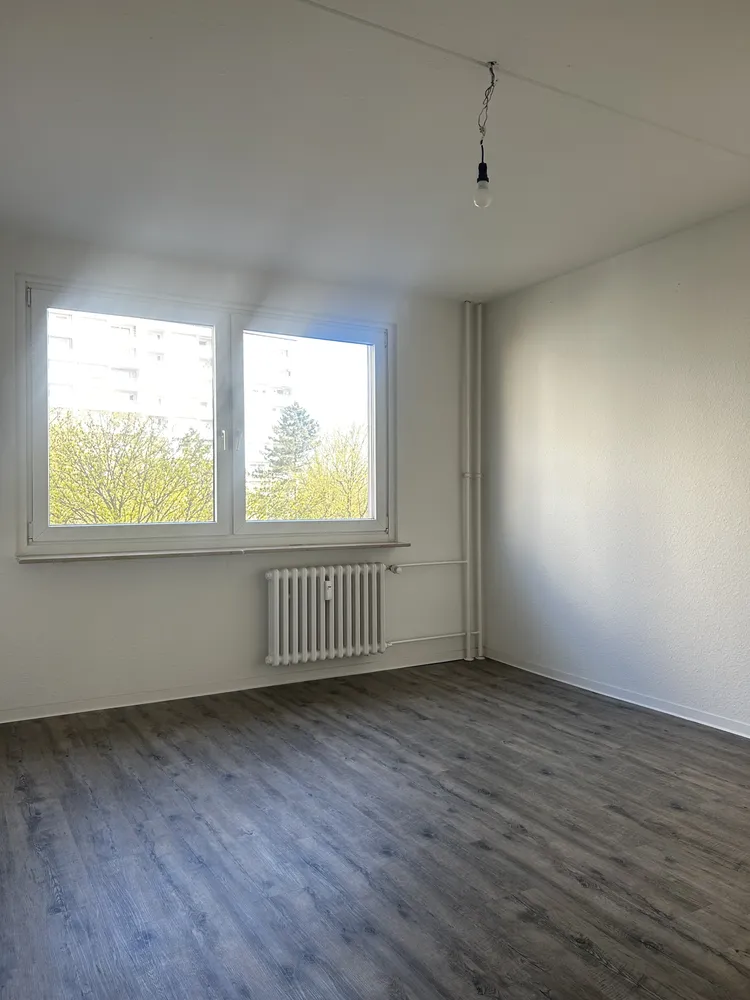 3 Zimmer Wohnung mit 74 m² in Kiel – Bild 4