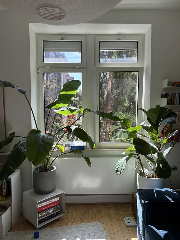 3 Zimmer Wohnung mit 101 m² in Mannheim – Bild 7