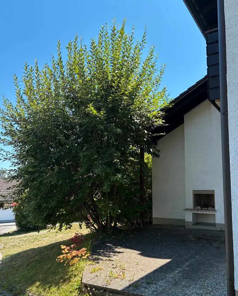 5 Zimmer Haus mit 155 m² in Passau – Bild 3