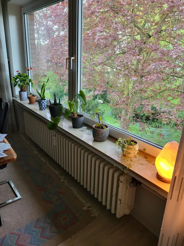 3 Zimmer Wohnung mit 76 m² in Krefeld – Bild 2