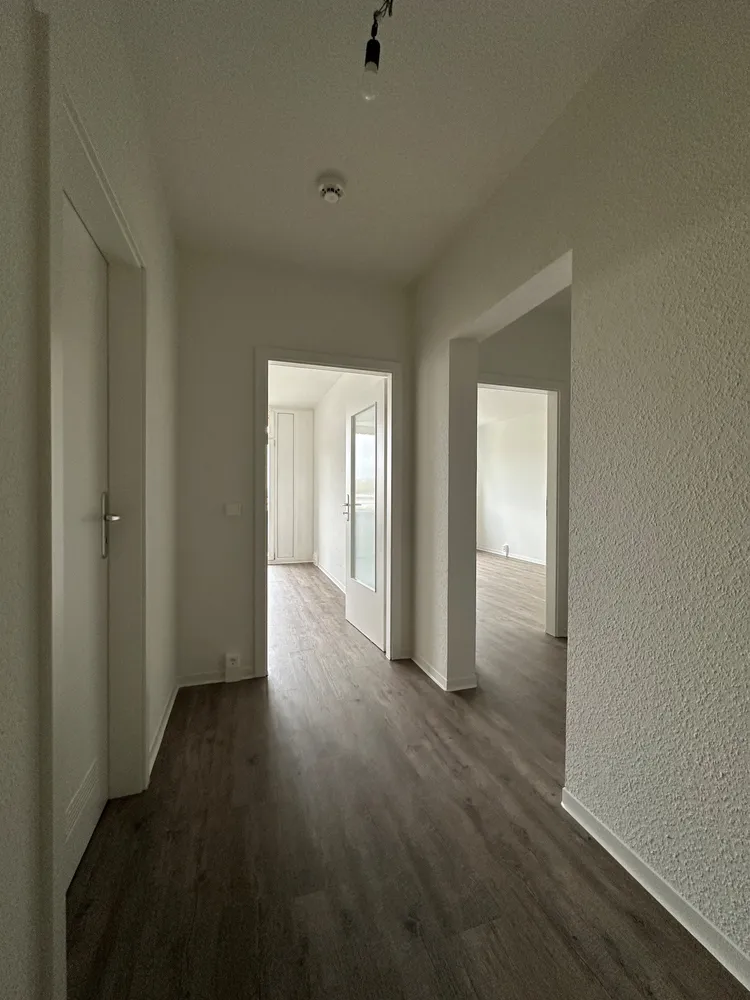 2 room apartment with 53 m² in Dresden – Photo 5