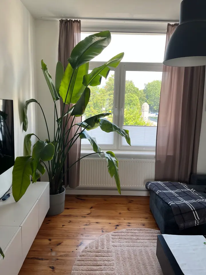 2 Zimmer Wohnung mit 66 m² in Rostock – Bild 1