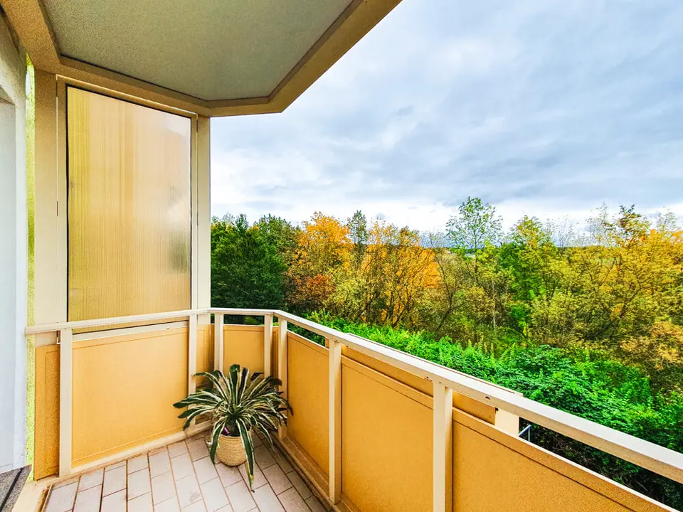 3 Zimmer Wohnung mit 55 m² in Zwickau – Bild 8