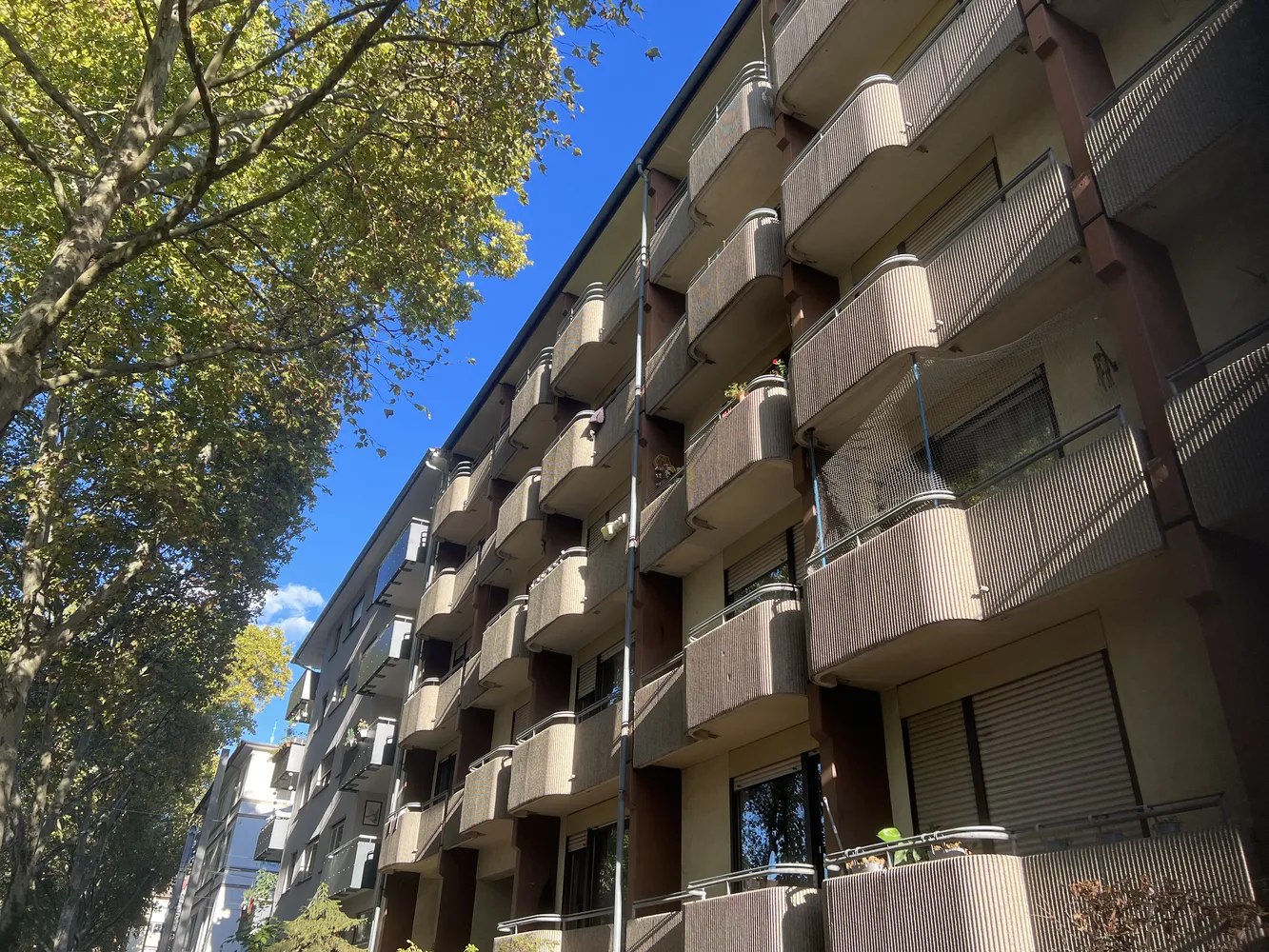 1 Zimmer Wohnung mit 22 m² in Mannheim – Bild 1