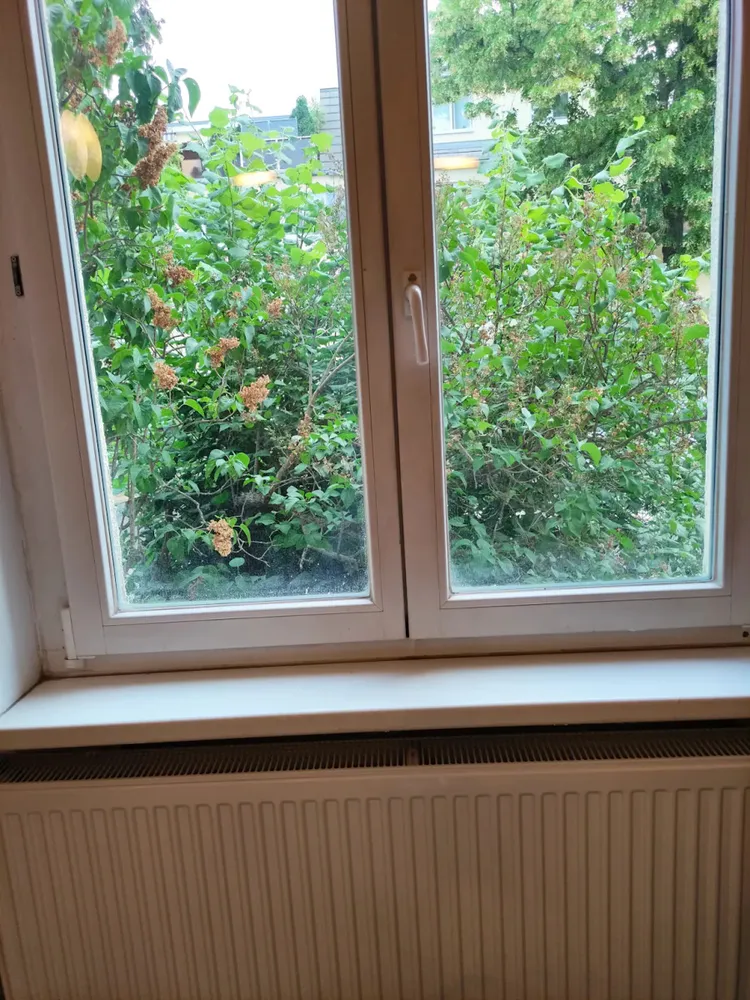 WG-Zimmer mit 18 m² in Berlin – Bild 2