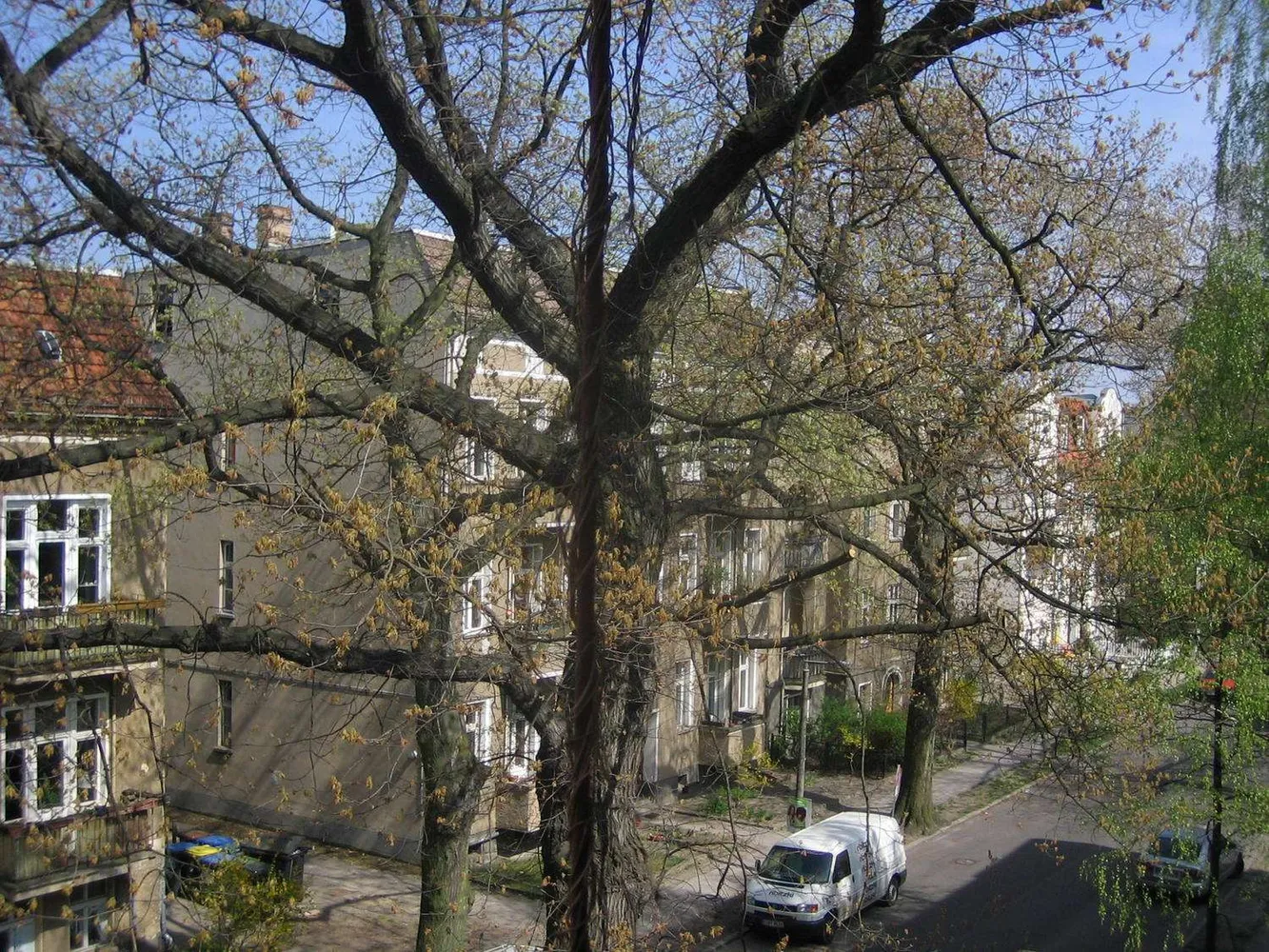 3 Zimmer Wohnung mit 85 m² in Berlin – Bild 12