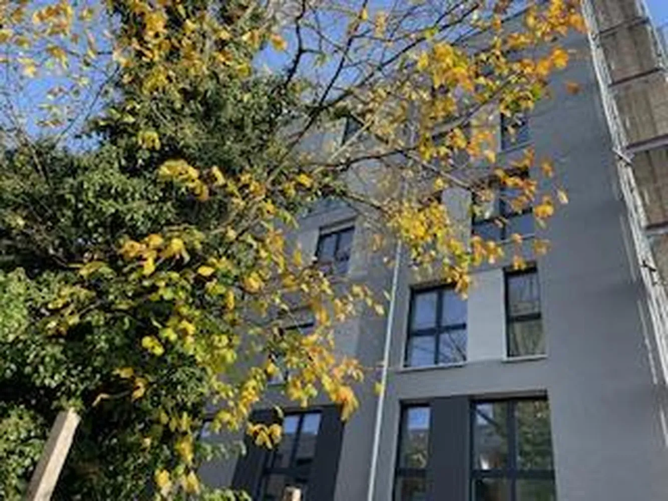 1 Zimmer Wohnung mit 31 m² in Nürnberg – Bild 2