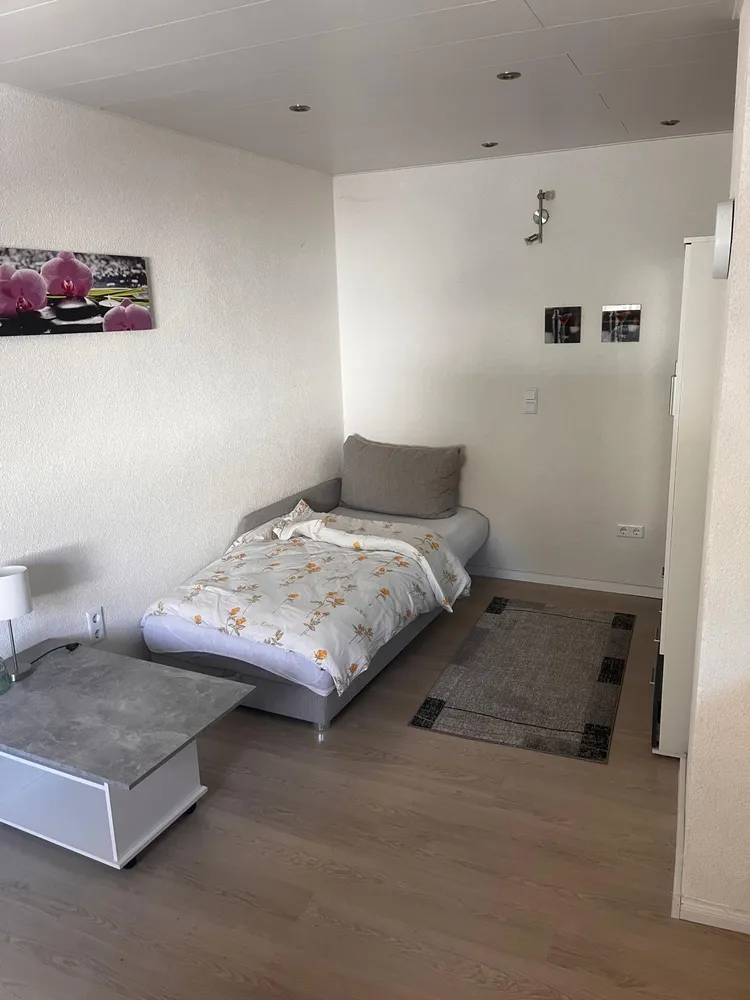 1 room apartment with 30 m² in Pirmasens – Photo 7