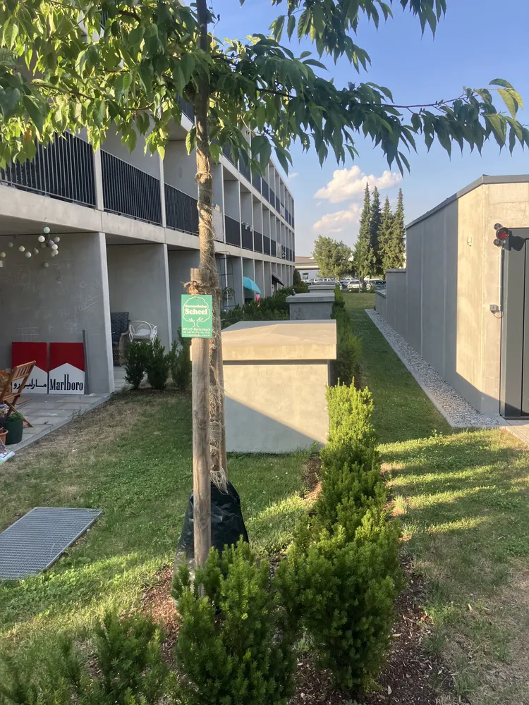 1 Zimmer Wohnung mit 24 m² in Augsburg – Bild 11