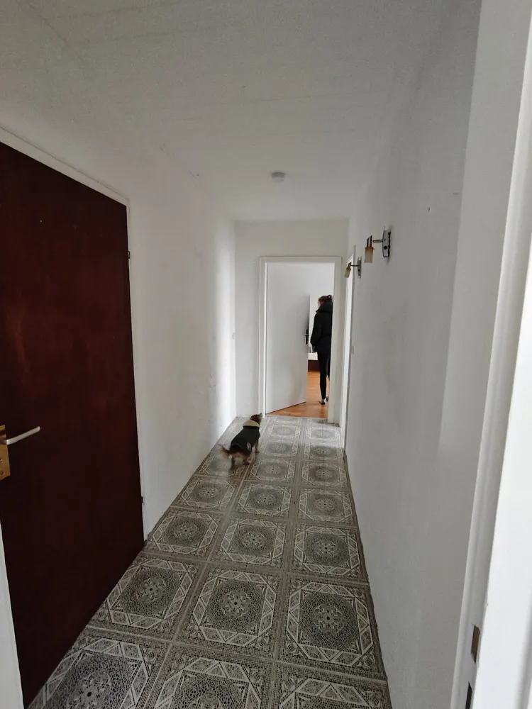 2 room apartment with 47 m² in Cologne – Photo 6