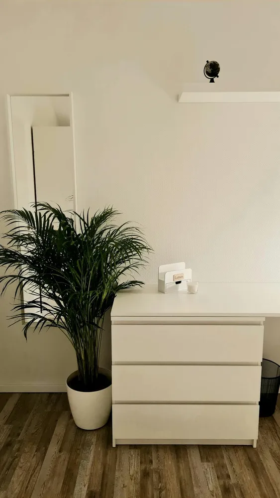 WG-Zimmer mit 15 m² in Köln – Bild 3