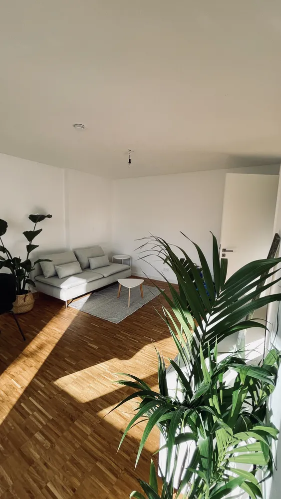 2 room apartment with 50 m² in Berlin – Photo 1