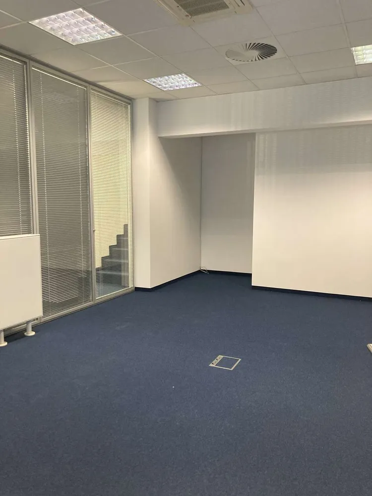 3 Zimmer Wohnung mit 219 m² in Kiel – Bild 3