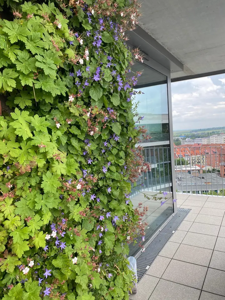 4 Zimmer Wohnung mit 114 m² in Erfurt – Bild 5