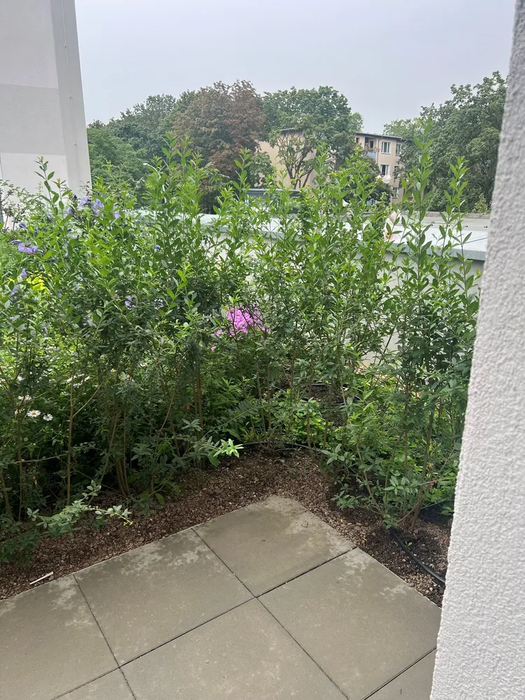 2 Zimmer Wohnung mit 47 m² in Berlin – Bild 5