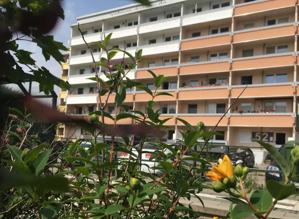 2 Zimmer Wohnung mit 49 m² in Dessau-Roßlau – Bild 6
