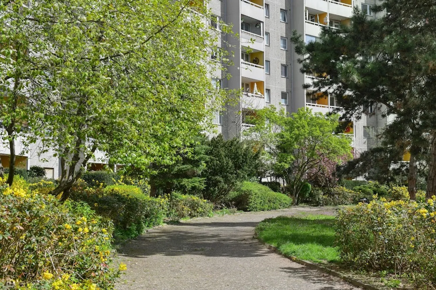 1 room apartment with 44 m² in Berlin – Photo 7