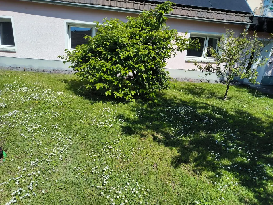 2 Zimmer Wohnung mit 44 m² in Bornheim – Bild 9