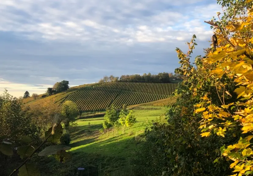 WG-Zimmer mit 46 m² in Bühl – Bild 2
