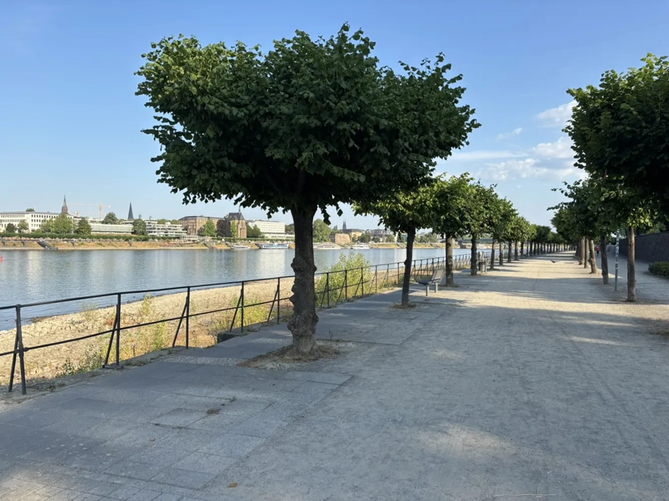 4 Zimmer Wohnung mit 125 m² in Bonn – Bild 1