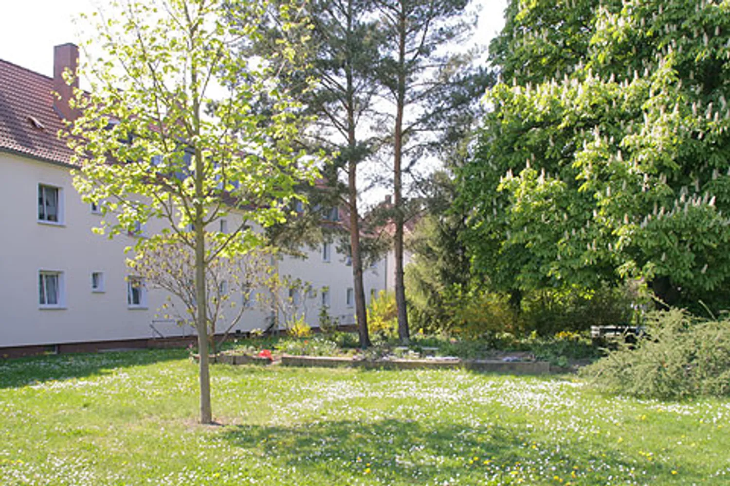 3 Zimmer Wohnung mit 55 m² in Dessau-Roßlau – Bild 8