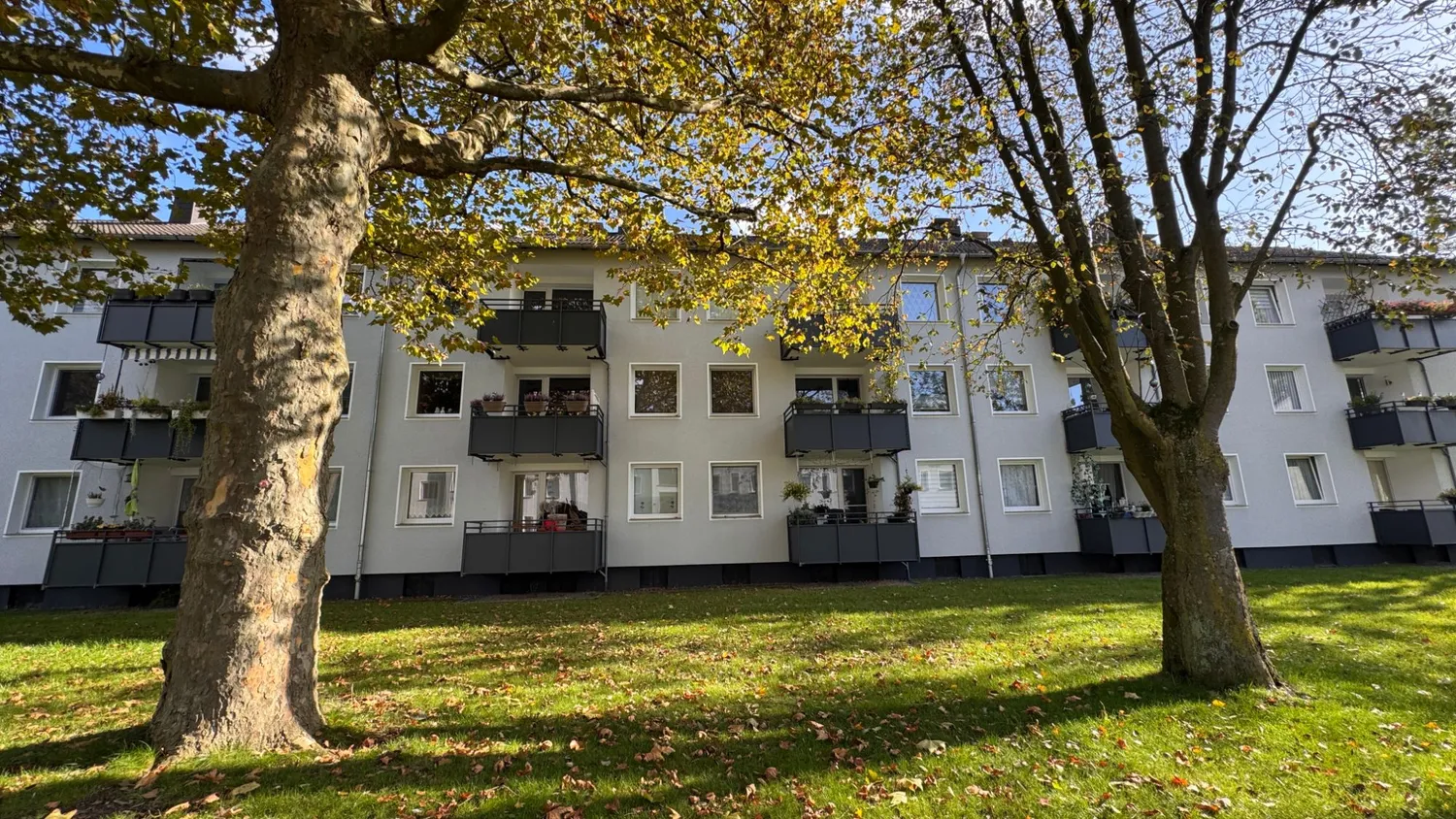 3 Zimmer Wohnung mit 67 m² in Essen – Bild 2