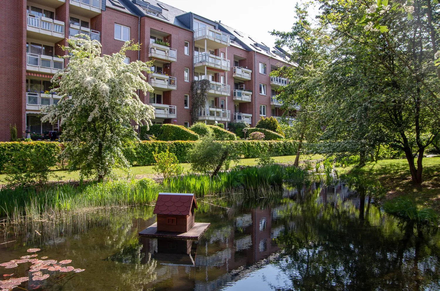 2 room apartment with 52 m² in Chemnitz – Photo 7