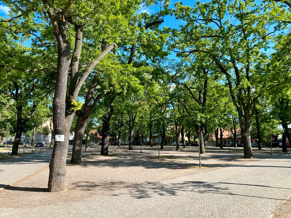 Shared room with 50 m² in Potsdam – Photo 8