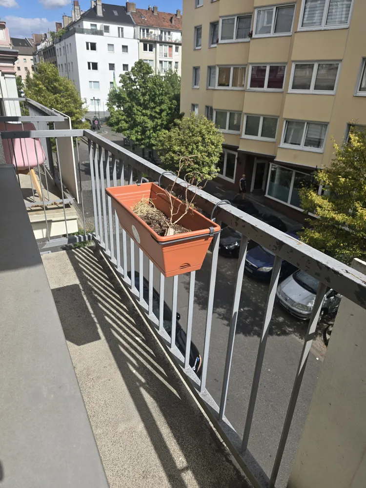 2 room apartment with 56 m² in Düsseldorf – Photo 3