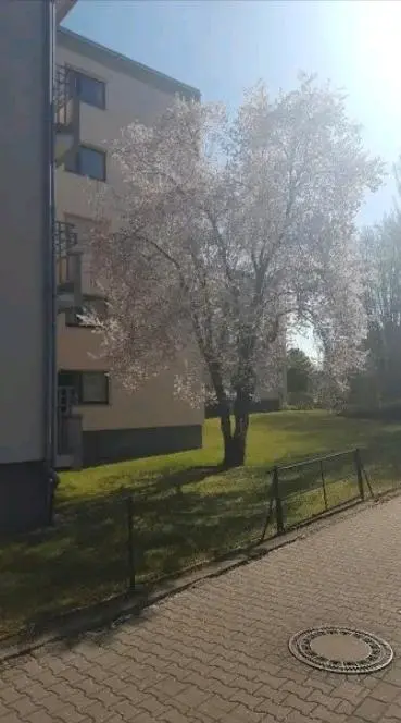 2 Zimmer Wohnung mit 57 m² in Darmstadt – Bild 1