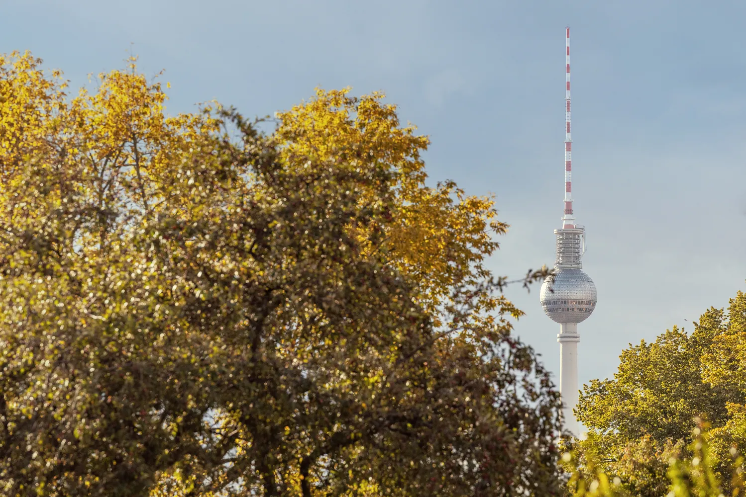 2 Zimmer Wohnung mit 67 m² in Berlin – Bild 9