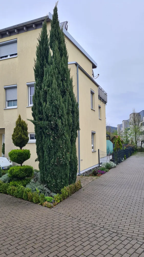 2 Zimmer Wohnung mit 45 m² in Heidelberg – Bild 1