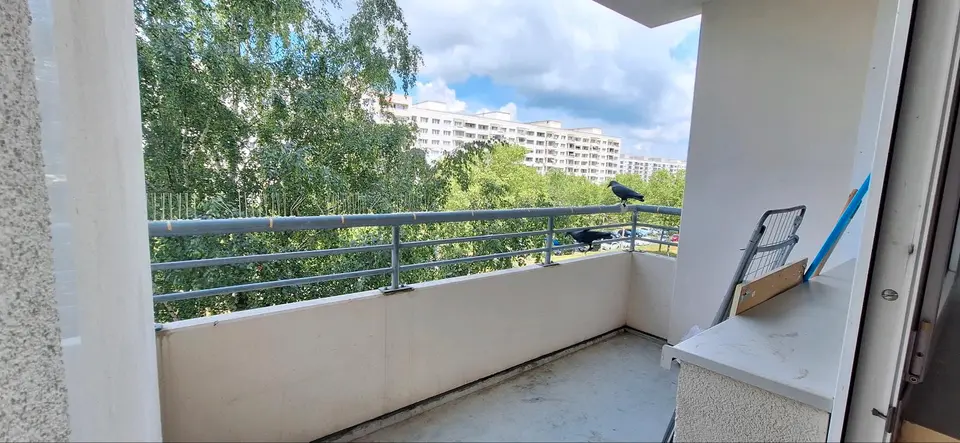 2 Zimmer Wohnung mit 35 m² in Pirna – Bild 5
