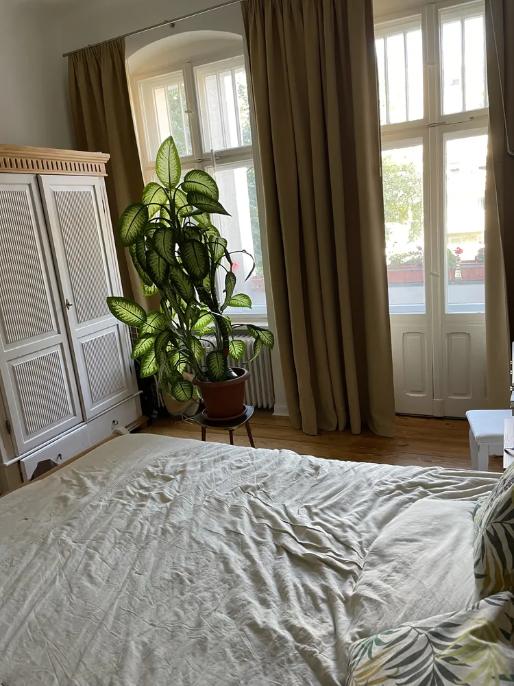 2 Zimmer Wohnung mit 88 m² in Berlin – Bild 11
