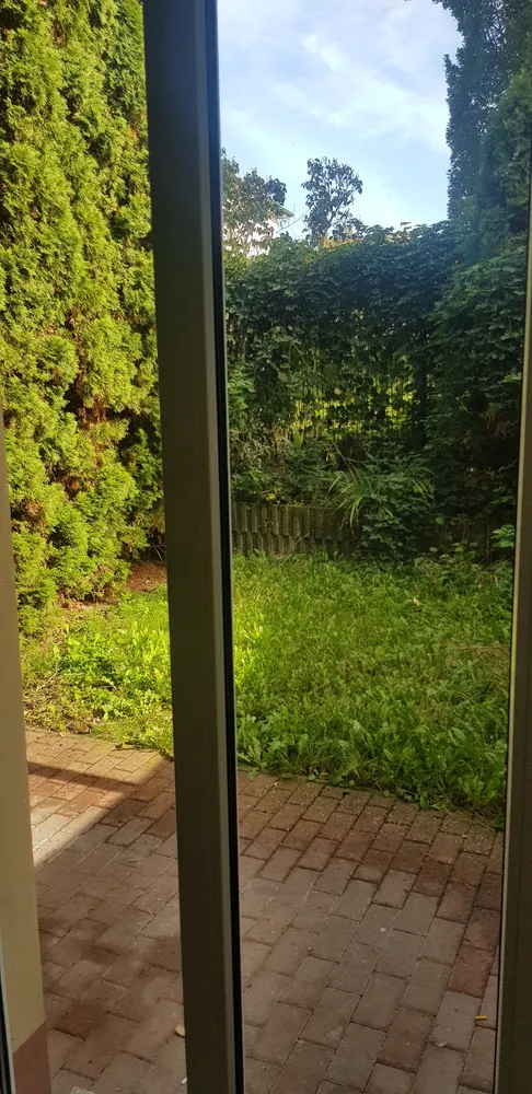 2 Zimmer Wohnung mit 55 m² in Halle (Saale) – Bild 5