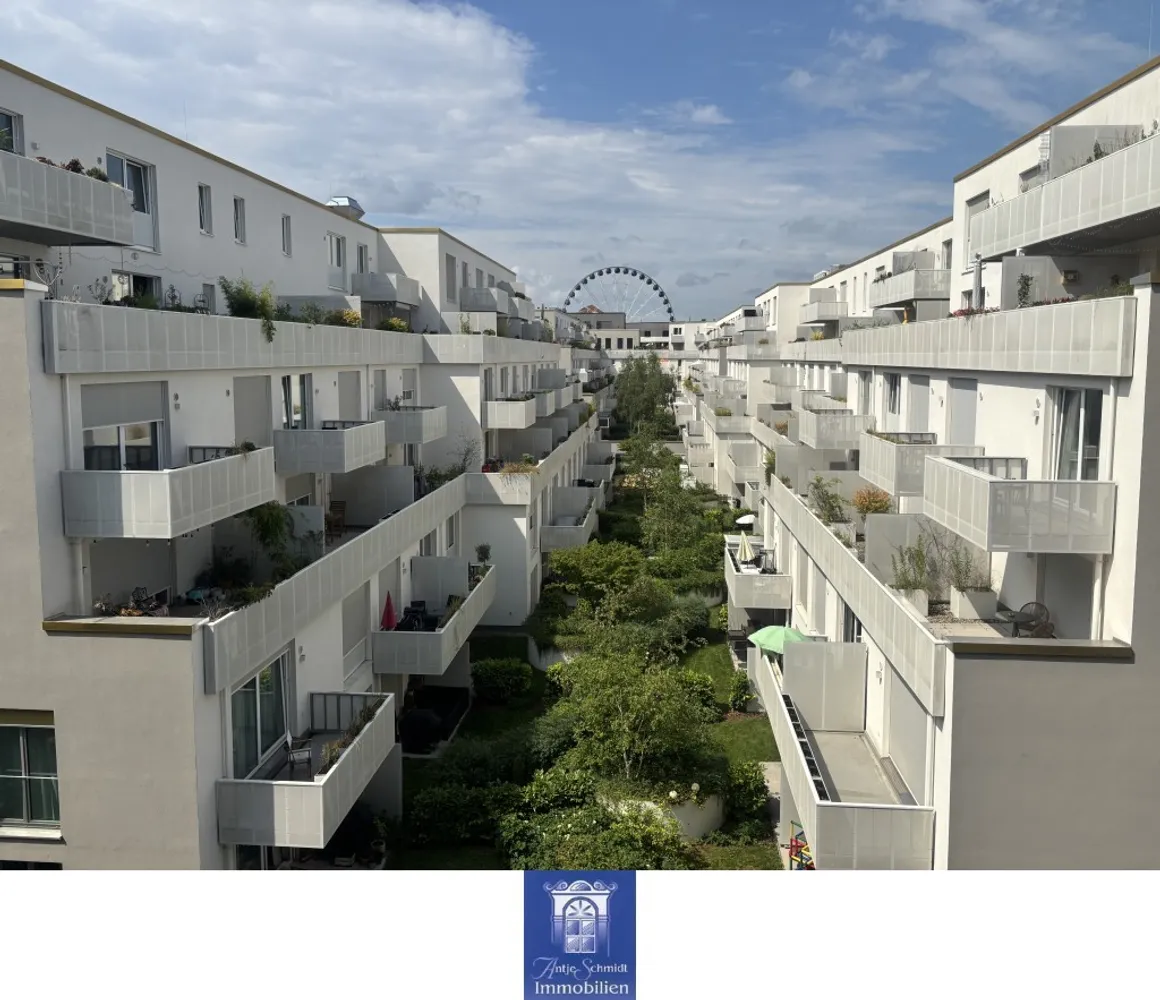 2 Zimmer Wohnung mit 62 m² in Dresden – Bild 10
