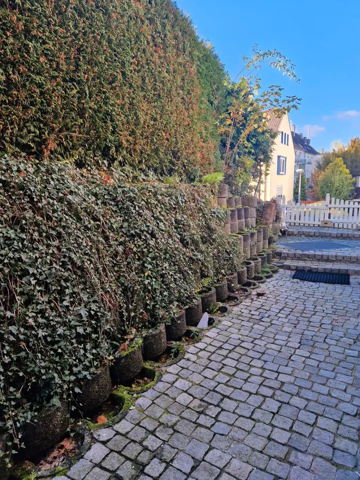 2 Zimmer Haus mit 70 m² in Haan – Bild 4