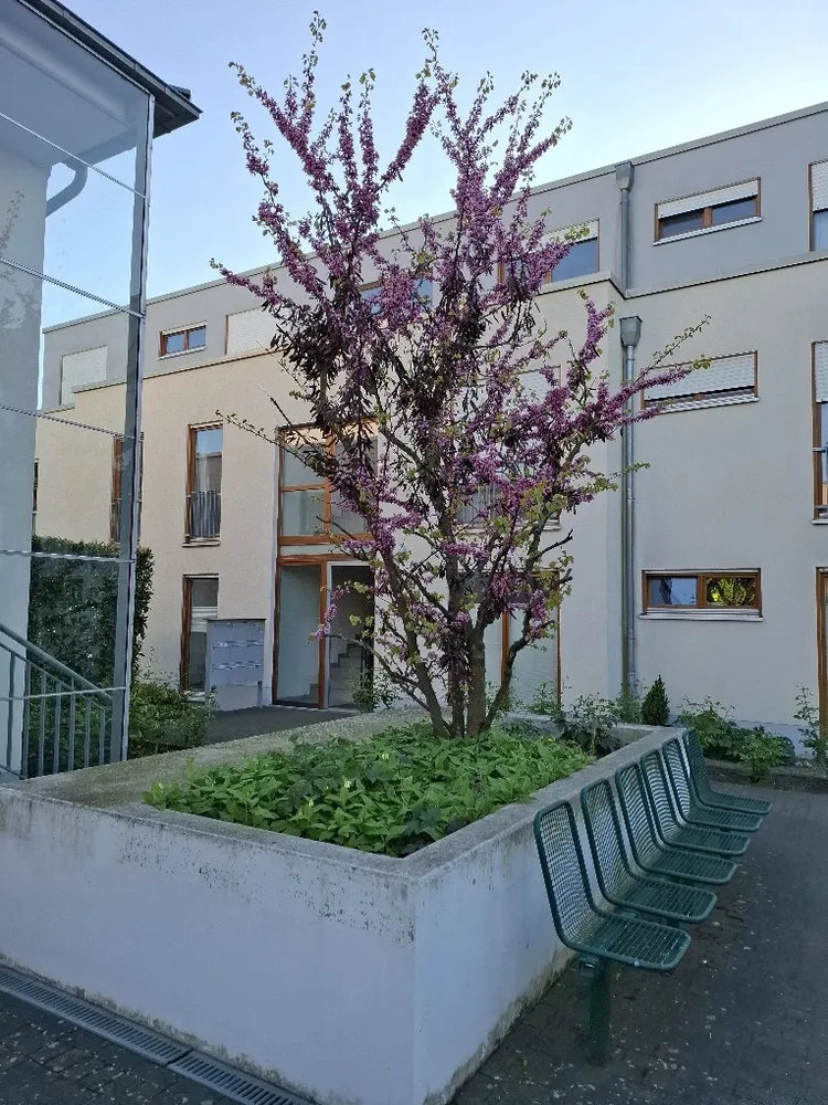 4 Zimmer Wohnung mit 110 m² in Frechen – Bild 3