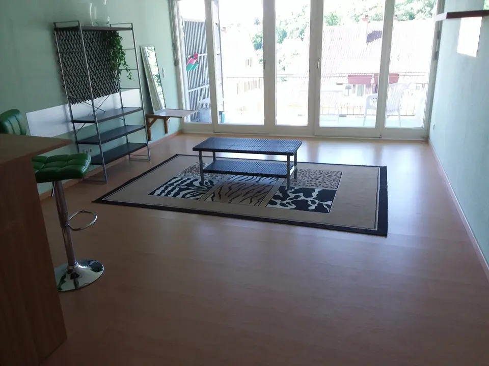 2 Zimmer Wohnung mit 45 m² in Waldshut-Tiengen – Bild 1