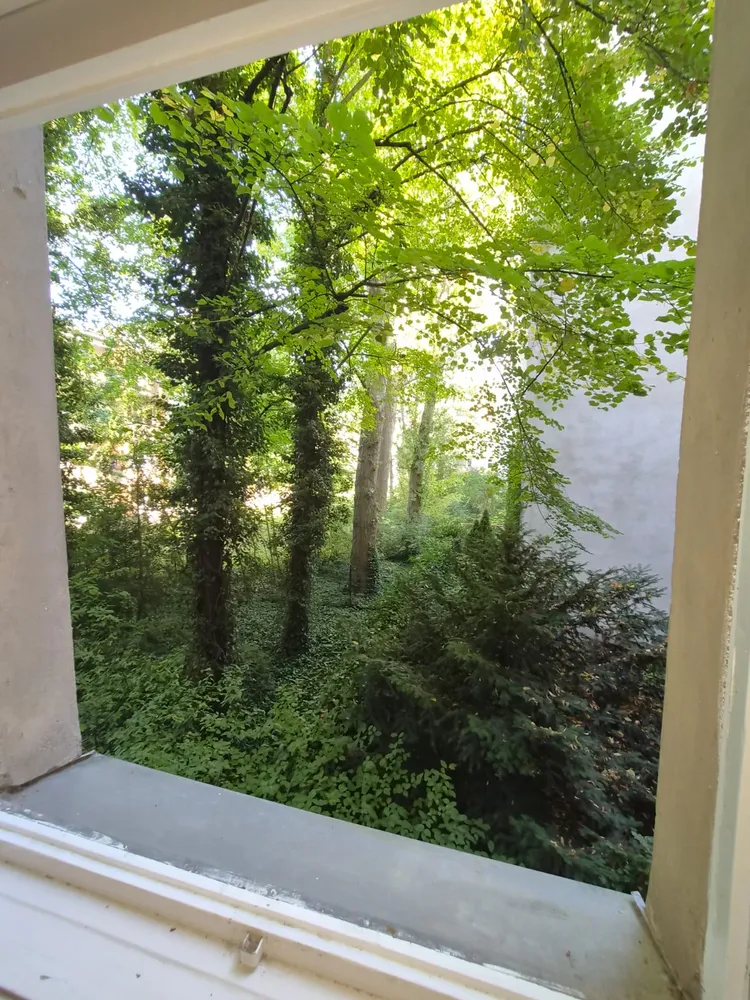2 room apartment with 50 m² in Berlin – Photo 2