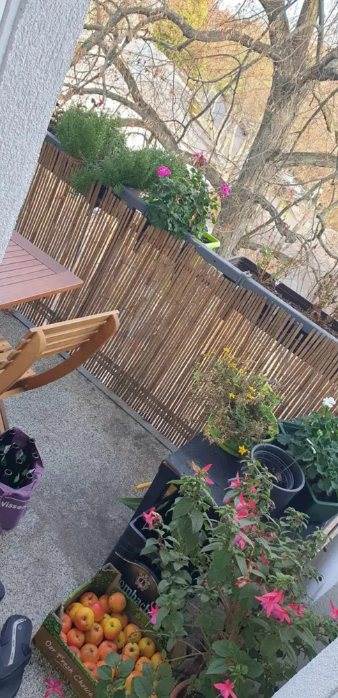 WG-Zimmer mit 32 m² in Berlin – Bild 10