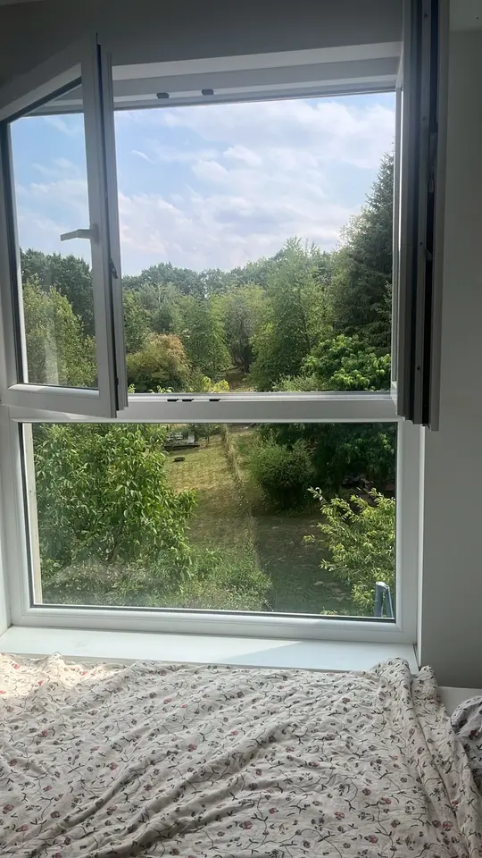 11 Zimmer Wohnung mit 220 m² in Bornheim – Bild 4