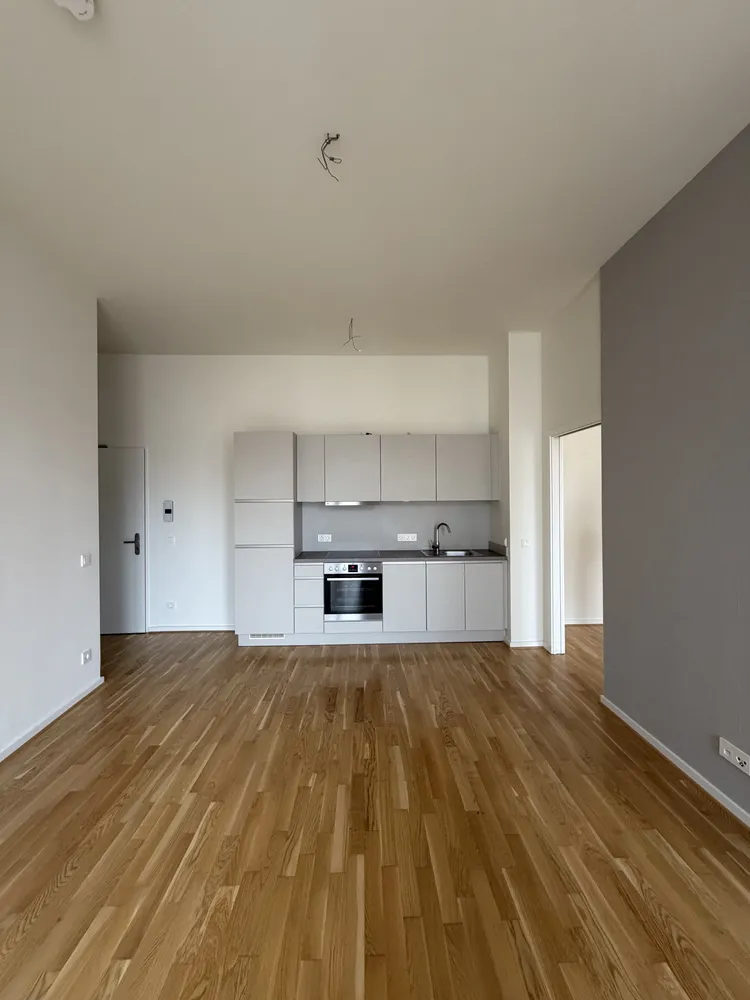 2 room apartment with 46 m² in Dresden – Photo 4