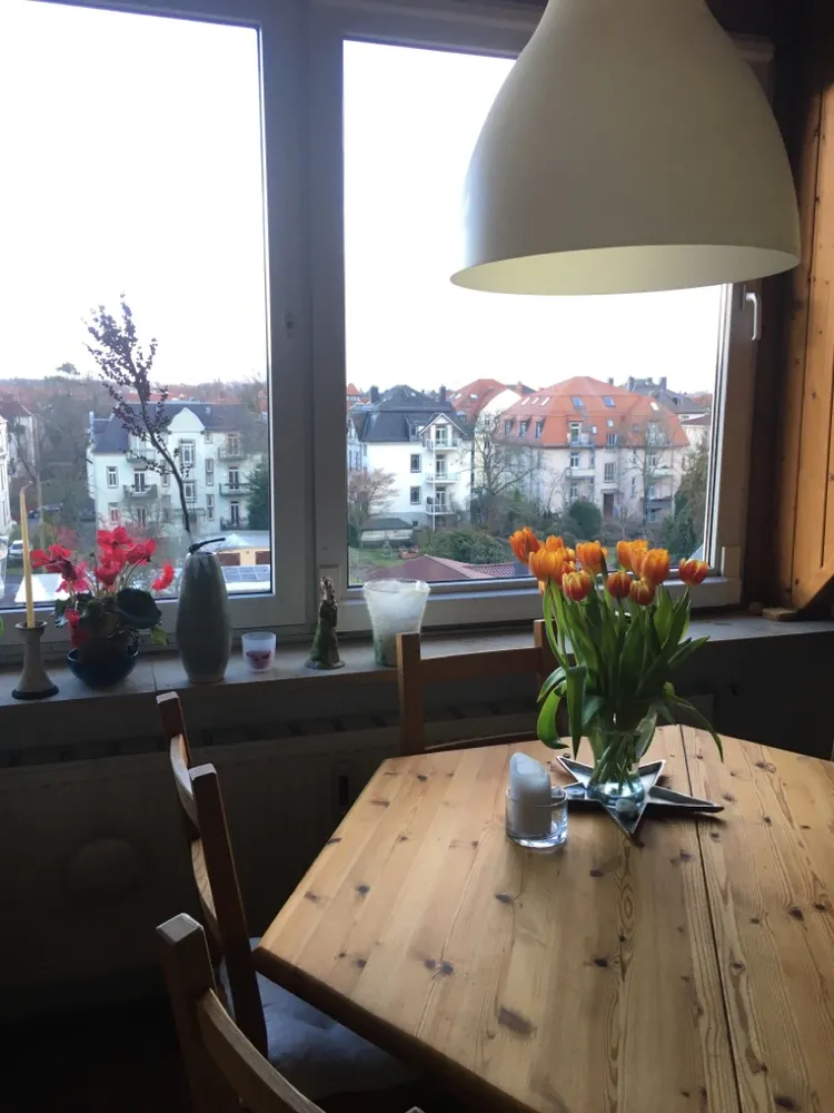 2 Zimmer Wohnung mit 61 m² in Dresden – Bild 5