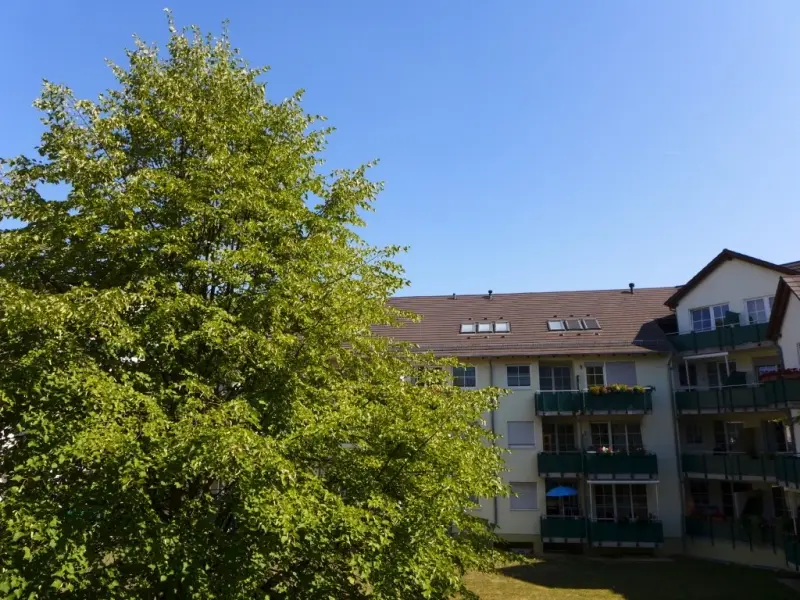 2 Zimmer Wohnung mit 50 m² in Limbach-Oberfrohna – Bild 3