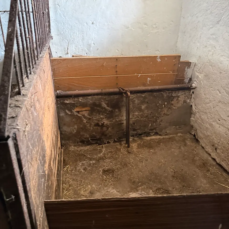 10 Zimmer Haus mit 300 m² in Aue-Bad Schlema – Bild 4