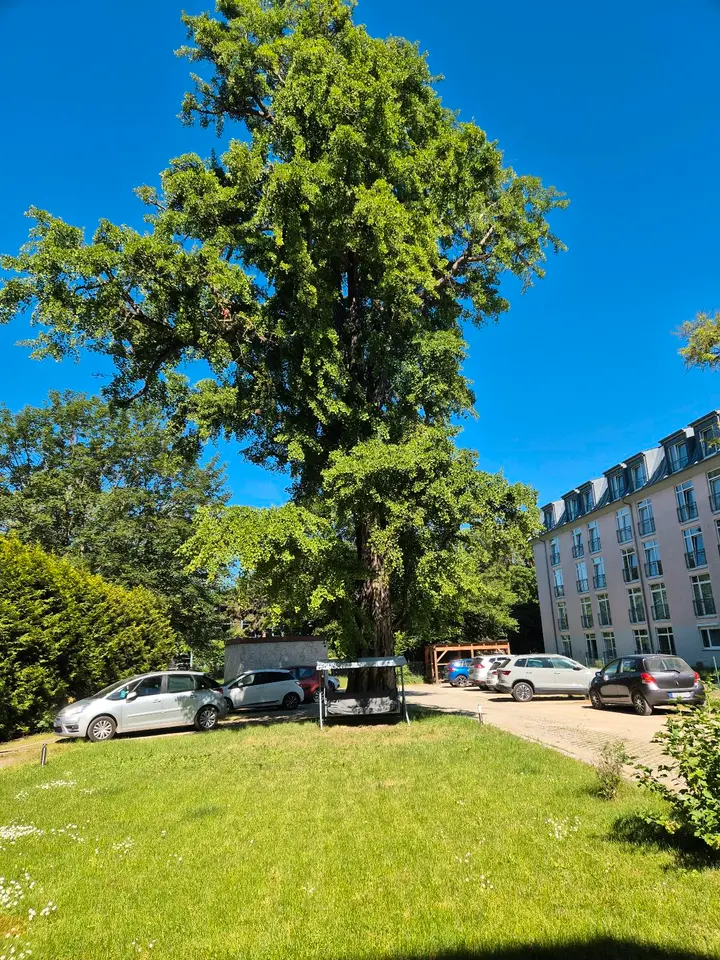 3 Zimmer Wohnung mit 81 m² in Weimar – Bild 3