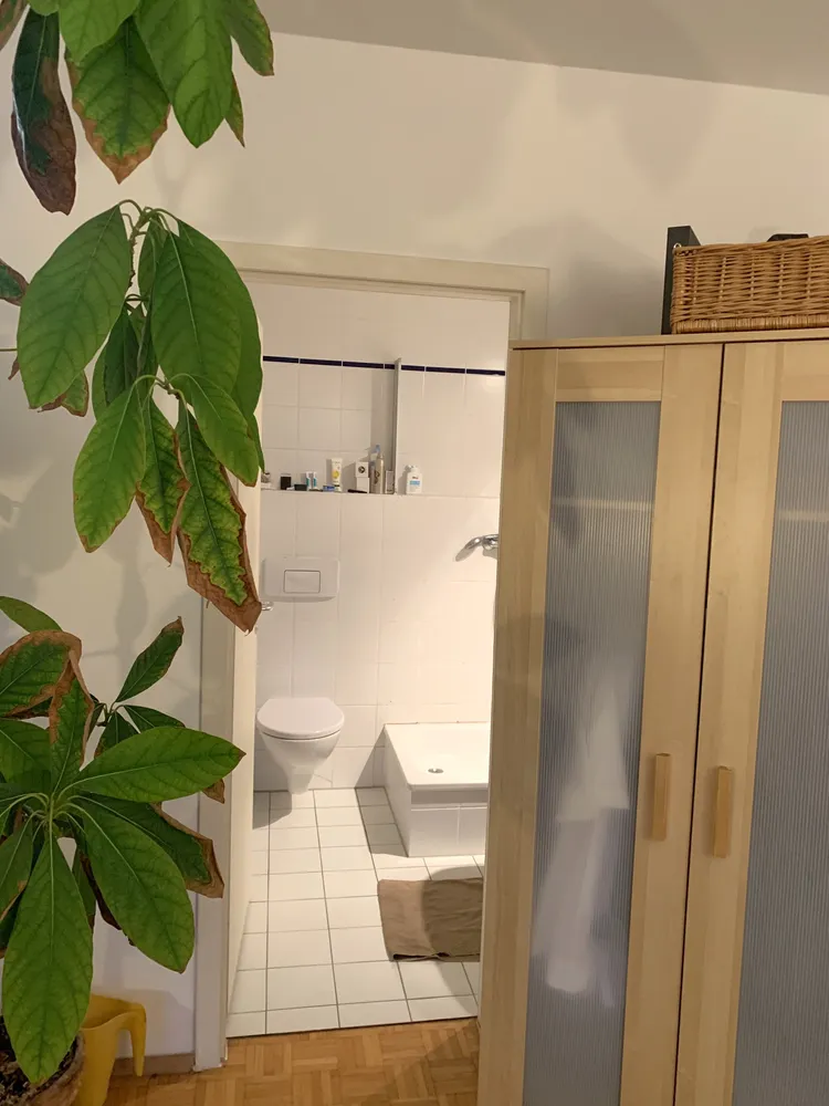1 room apartment with 27 m² in Neu-Isenburg – Photo 4